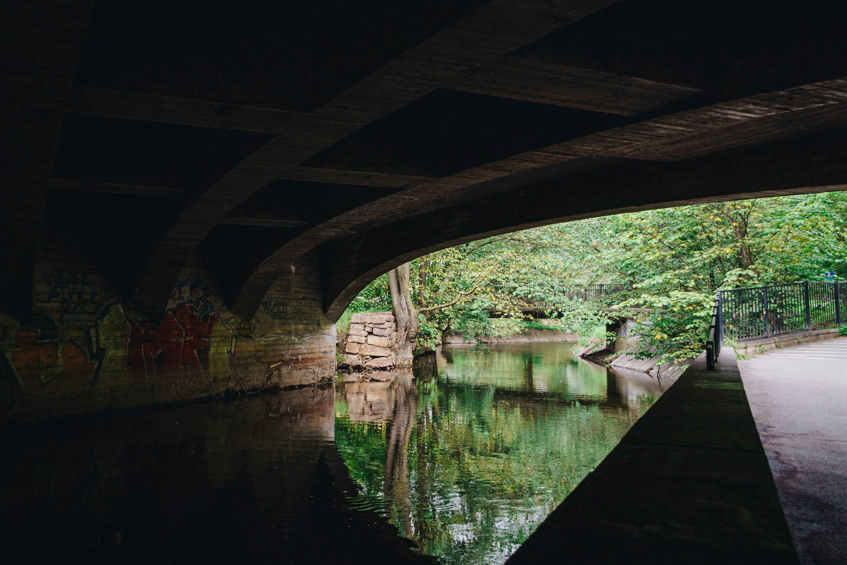 river surrounded with green trees near road